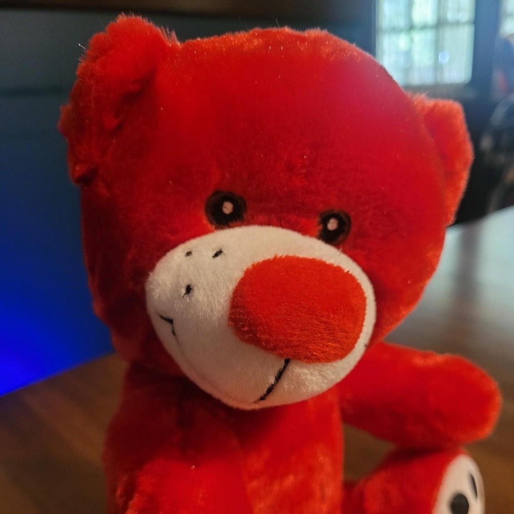 REDFORD RED TEDDY BEAR PLUSHIE